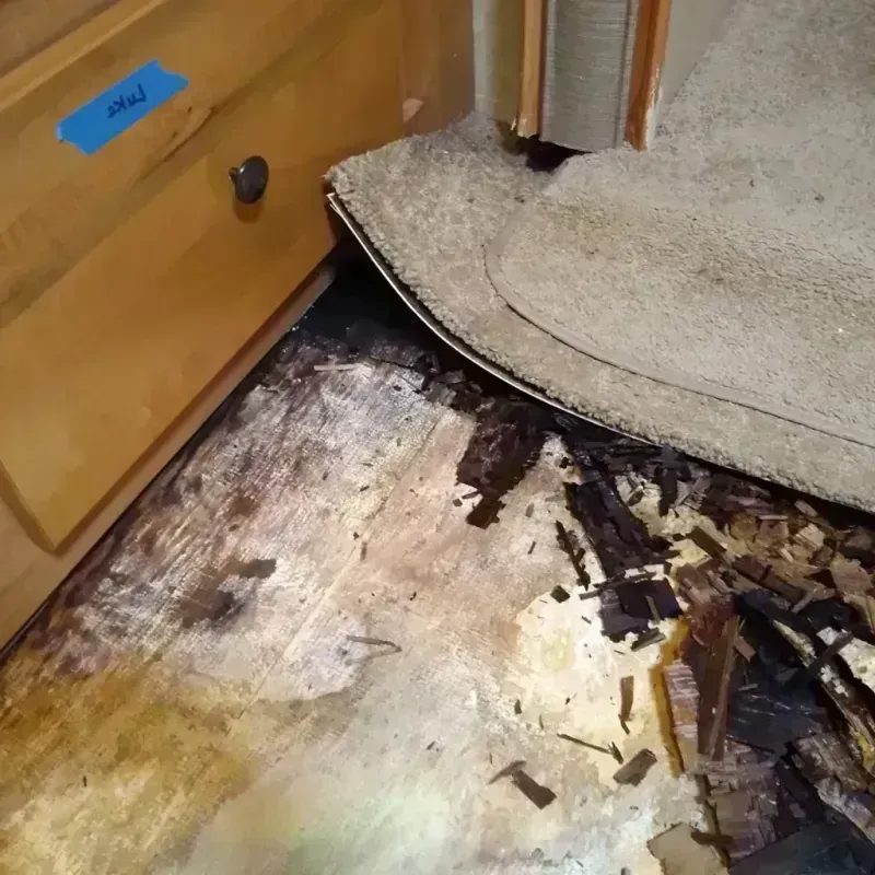 Wood Floor Water Damage in Holden, ME